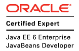 Oracle Certified Professional Java SE 6 Programmer - OCJP